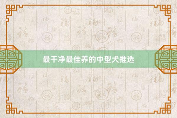最干净最佳养的中型犬推选